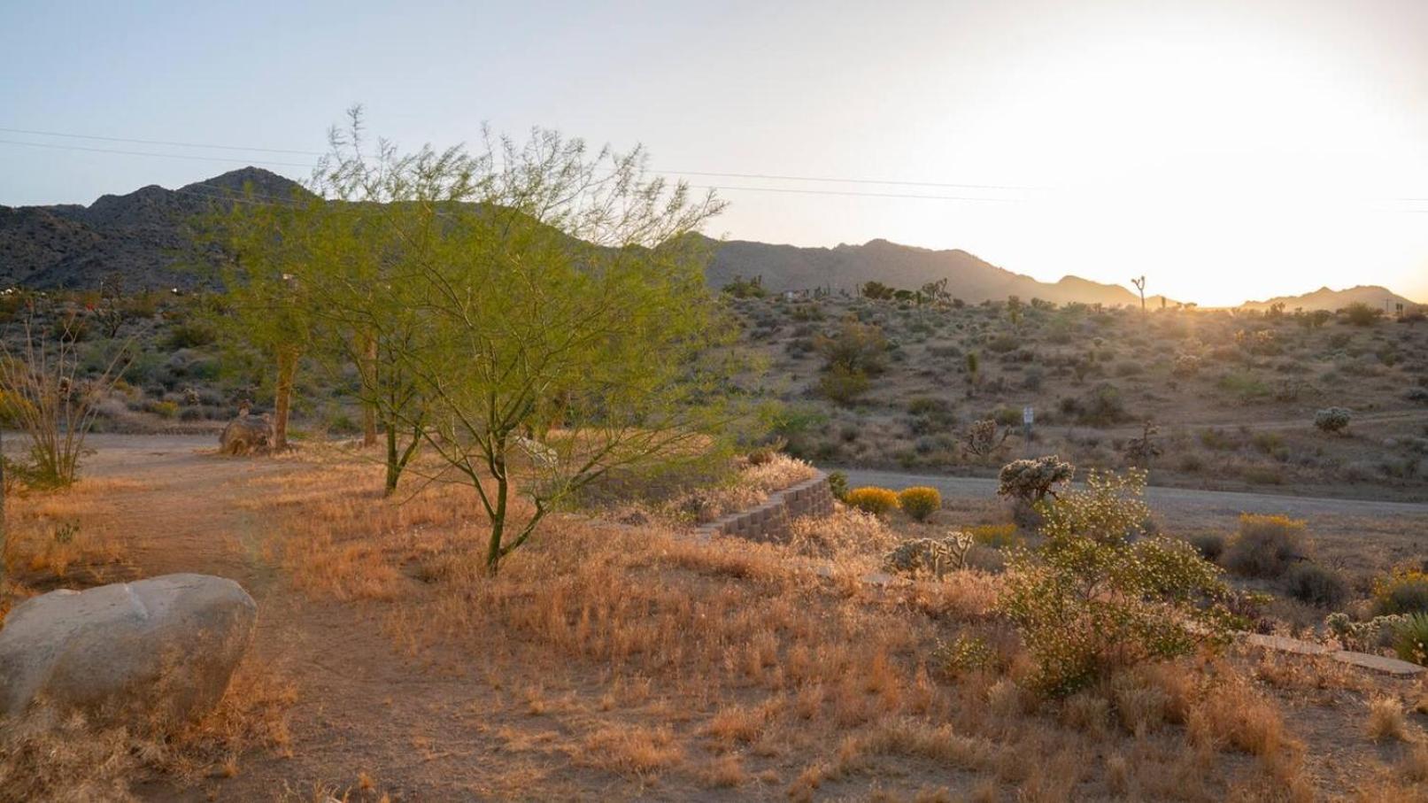 Experience Desert Serenity Gateway To Joshua Tree Extérieur photo